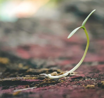 土壤物理性质检测