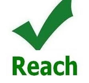 REACH检测