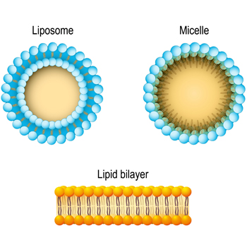 表面活性剂检测