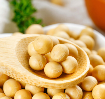 转基因成分检测