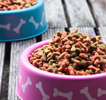 AAFCO标准检测（犬）