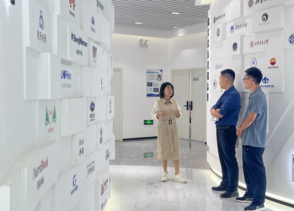 微信截图_20241031113245