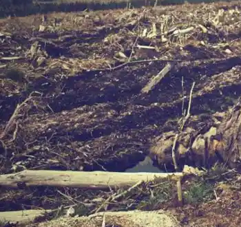 土壤微塑料检测