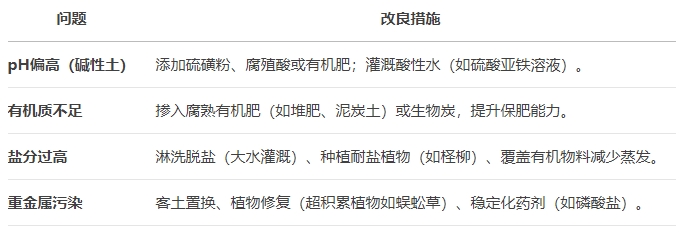 微信截图_20250526092839