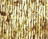 5949699c5014430f1489589dc0ec626f 5949699c5014430f1489589dc0ec626f