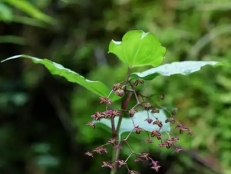 不同土壤类型如何选择湿度检测方法？