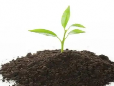 郑州土壤检测机构：土壤检测粗磨实验步骤